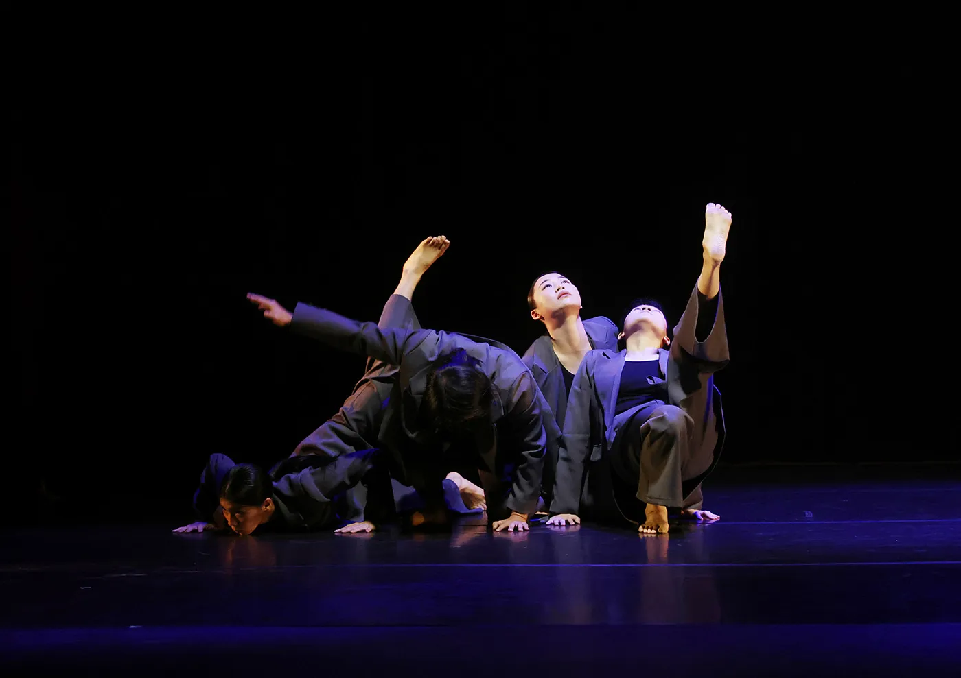 현대무용단 자유